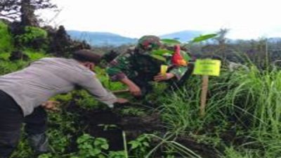 Perhutani KPH Bondowoso