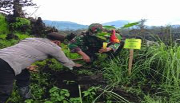 Perhutani KPH Bondowoso