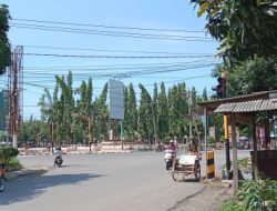 Sejumlah pengendara mengeluhkan traffic light di perempatan Alun-alun Besuki yang padam beberapa hari terakhir ini