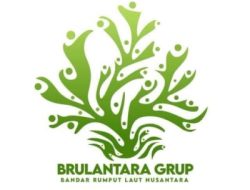 Ji Lilur Tegaskan Bahwa Budidaya Rumput Laut Lebih Menguntungkan dari Batu Bara dan Nikel