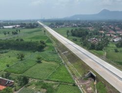 Tol Probolinggo–Besuki: Akselerasi Infrastruktur Demi Pertumbuhan Ekonomi