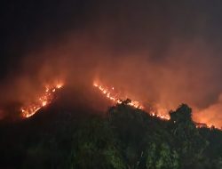 Kebakaran Klatakan Buka Pola Tahunan, Perhutani dan BPBD Kembali Disorot