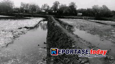 Di Tengah Klaim Berulang, Penggarap Tambak Karangmalang Minta Kepastian Hukum