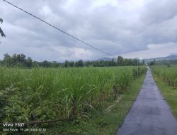 LSM SITI JENAR Desak Negara Jangan Kalah oleh Kepentingan di Balik Pengelolaan Kawasan Hutan