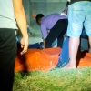 Terungkap di Jalur Pantura Banyuglugur, Kematian Bidan RSUD Besuki Gegerkan Situbondo
