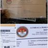 LPSK Proses Permohonan Perlindungan Warga Karangmalang, Tahap Verifikasi Administrasi Berlangsung