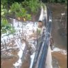 SITI JENAR Temukan Kebocoran Pipa di Kawasan Mangrove, Minta Pemerintah Turun Tangan